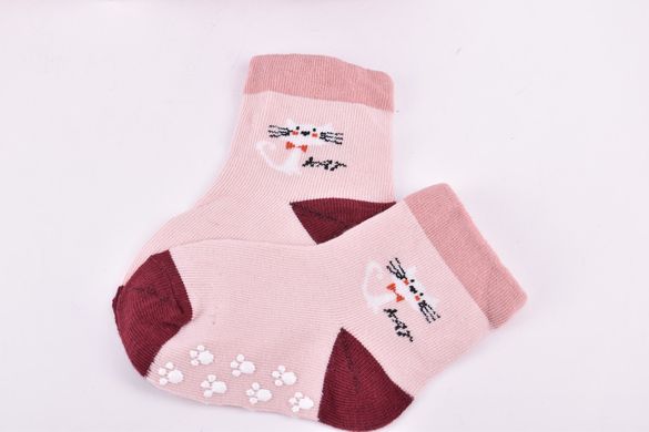 Шкарпетки дитячі на дівчинку "Фенна" бавовна (Арт. FEC110-4/12-18) | 12 пар