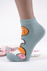 Жіночі шкарпетки занижені "AURA" Cotton (NDP6085/35-38) | 5 пар
