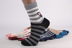 Жіночі шкарпетки "Little Animals" (SL6111) | 12 пар