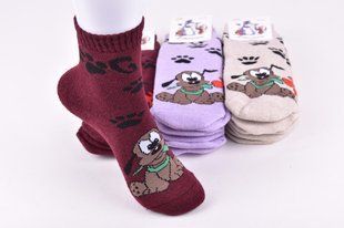 Носки детские на девочку "ЖИТОМИР" МАХРА COTTON (Арт. AK554/16-18) | 12 пар