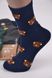 Шкарпетки жіночі "AURA" COTTON (Арт. NZP6537) | 30 пар