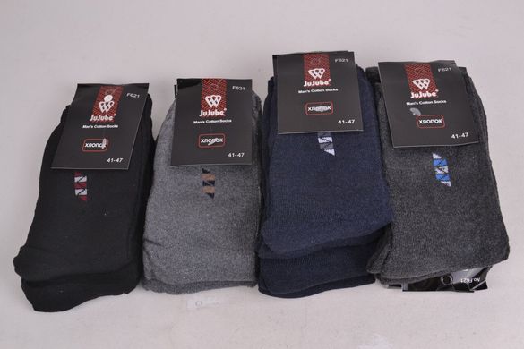 Шкарпетки чоловічі махра (F621-13) | 12 пар
