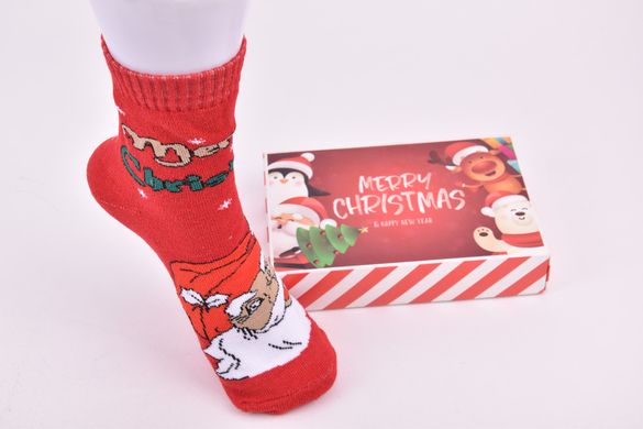 Шкарпетки жіночі "Merry Christmas" у подарунковій упаковці (Aрт. Y107/5) | 1 компл.
