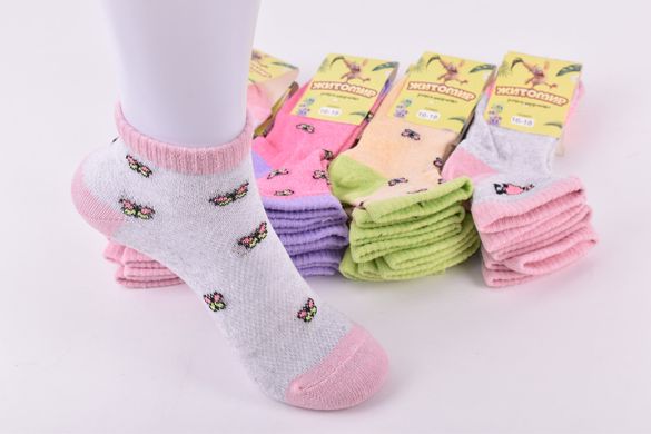 Шкарпетки дитячі на дівчинку "Житомир" бавовна Сітка (Арт. OAM397/16-18) | 12 пар