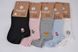 Шкарпетки жіночі занижені "AURA" Cotton (Арт. NDX3351/35-38) | 5 пар