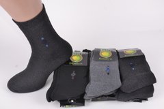 Чоловічі Термо шкарпетки "Алія" (Aрт. AL315+1) | 12 пар