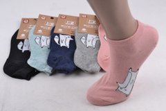 Жіночі шкарпетки занижені "Cotton" (Арт. NDP3228/35-38) | 5 пар
