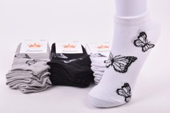 Шкарпетки жіночі "Житомир" ХЛОПОК (Арт. AK923) | 12 пар