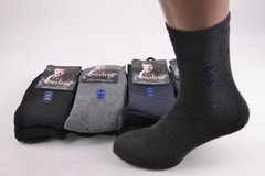Мужские носки "Фенна" МАХРА Хлопок (Арт. FE8612-3) | 12 пар