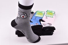 Шкарпетки дитячі з малюнком "Житомир" бавовна (Арт. OAM338) | 12 пар