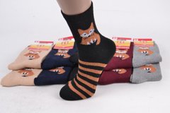Шкарпетки з малюнком (Арт. VSY003) | 10 пар