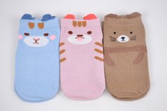 Шкарпетки дитячі з малюнком "ХЛОПОК" (Арт. D358-1/12/S) | 12 пар