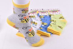 Шкарпетки дитячі "Житомир" бавовна (Арт. ME34110/18-20) | 12 пар