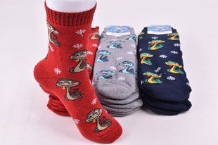 Носки женские с рисунком "Житомир" МАХРА COTTON (Арт. AK346) | 12 пар