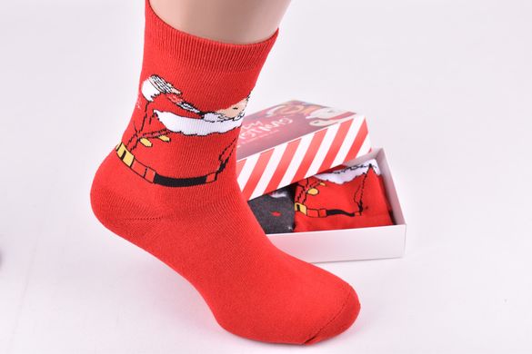 Шкарпетки чоловічі в подарунковій упаковці МАХРА бавовна (Арт. Y111) | 2 пари
