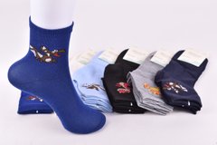 Шкарпетки дитячі на хлопчика "Фенна" бавовна (Арт. FEC3367-5/20-25) | 12 пар