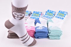 Шкарпетки дитячі з малюнком "Житомир" бавовна (Арт. OAM343) | 12 пар