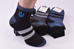 Носки мужские "Житомир" МАХРА ХЛОПОК (Арт. OAM537-1) | 12 пар
