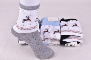 Носки женские "Житомир" МАХРА ХЛОПОК (Арт. Y305) | 12 пар