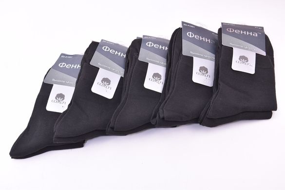 Шкарпетки чоловічі однотонні "Фенна" ХЛОПОК (Арт. FEA1001) | 10 пар