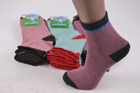 Шкарпетки дитячі "Житомир" ХЛОПОК (Арт. OK130/18-20) | 12 пар