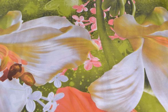 Простынь двуспальная (Арт. AN205/232)