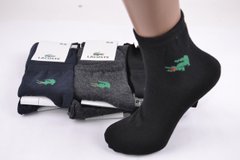 Жіночі шкарпетки "Lacoste" Cotton (Арт. Y512/3) | 12 пар