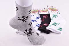 Шкарпетки дитячі "Житомир" бавовна (Арт. ME34111/18-20) | 12 пар