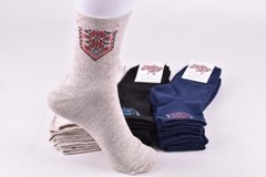 Шкарпетки жіночі "Житомир" бавовна (Арт. OAM244) | 12 пар