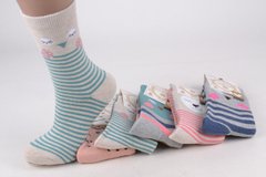 Жіночі шкарпетки МАХРУ "Cotton" (Арт. NV2051/38-41) | 5 пар