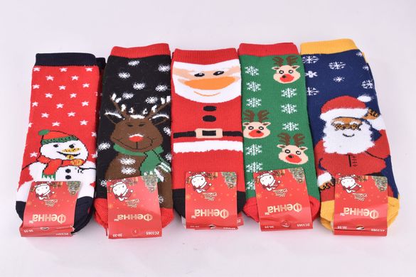 Шкарпетки дитячі "Merry Christmas" бавовна МАХРА (Арт. FEC3367/20-25) | 10 пар
