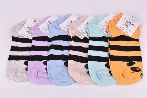 Шкарпетки жіночі занижені "Житомир" бавовна (Арт. OAM100/4) | 12 пар