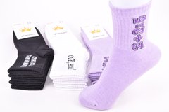 Шкарпетки жіночі "ЖИТОМИР" COTTON (Арт. AK816) | 12 пар
