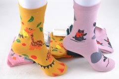 Шкарпетки жіночі "Наталі" ХЛОПОК (Арт. BF05-6) | 10 пар