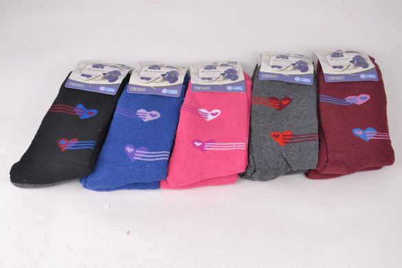 Шкарпетки жіночі "Алія" Махра бавовна (Aрт. ALB779) | 10 пар