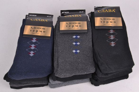 Мужские носки "Слава" МАХРА (Арт. B230-1) | 12 пар