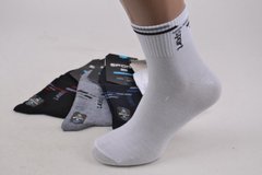 Чоловічі шкарпетки Sport "КОРОНА" Cotton (LKA1602) | 12 пар
