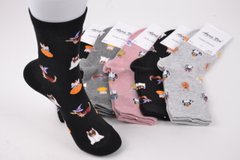 Шкарпетки жіночі з малюнком "Aura" COTTON (Арт. NZC6572/35-38) | 5 пар