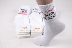 Шкарпетки жіночі "ЖИТОМИР" COTTON (Арт. AK872) | 12 пар