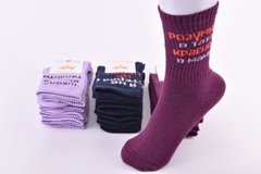 Шкарпетки жіночі "Житомир" бавовна (Арт. AK951) | 12 пар