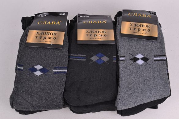 Мужские носки "Слава" МАХРА (Арт. B230-2) | 12 пар