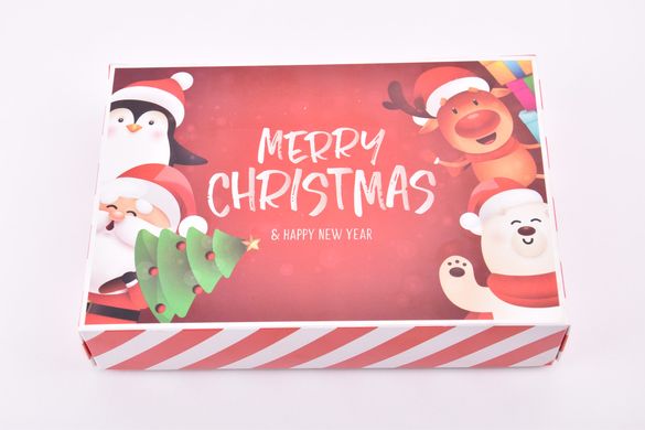 Носки женские "Merry Christmas" в подарочной упаковке (Aрт. Y107/4) | 1 компл.