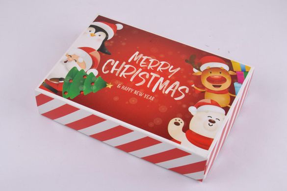 Носки Женские Махровые "Merry Christmas" в подарочной упаковке (Aрт. Y105/9) | 1 компл.