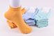 Шкарпетки жіночі занижені "Житомир" бавовна (Арт. OAM248) | 12 пар