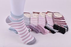 Шкарпетки жіночі занижені "Фенна" Бавовна (Арт. FEB13-2) | 12 пар