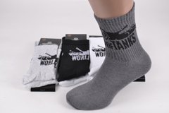 Чоловічі шкарпетки COTTON (Арт. PT1584) | 12 пар