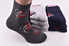 Шкарпетки жіночі "Житомир" МАХРА ХЛОПОК (Aрт. OK772) | 12 пар