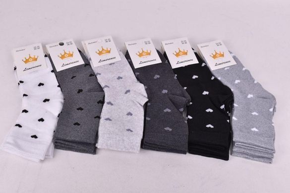 Шкарпетки жіночі "ЖИТОМИР" COTTON (Арт. AK2010) | 12 пар