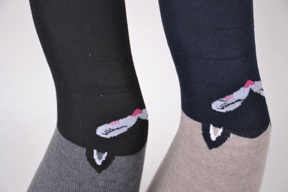 Колготки дитячі на дівчинку COTTON (Арт. C9090-1/128-140) | 6 пар