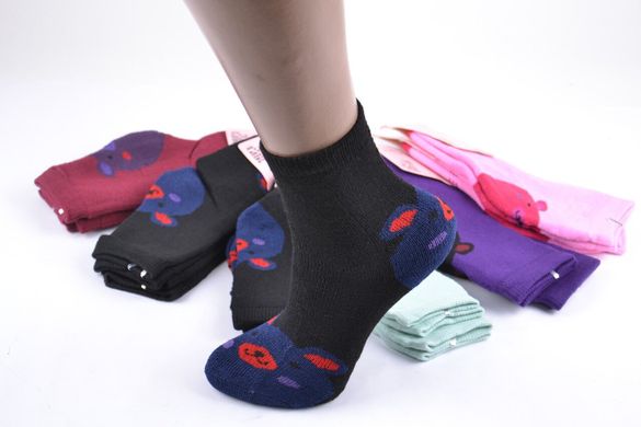 Дитячі термо-шкарпетки на дівчинку "Алія" бавовна (ALC80/30-35) | 12 пар